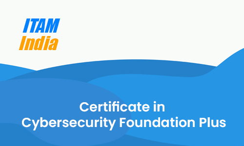Certificate in Cybersecurity Foundation Plus