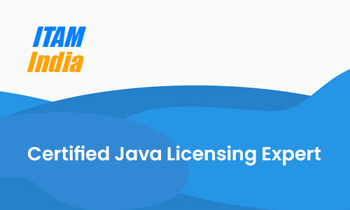 Certified Java Licensing Expert