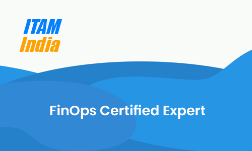 FinOps Certified Expert
