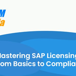 Mastering SAP Licensing – From Basics to Compliance